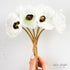 White Mini Poppy Bundle