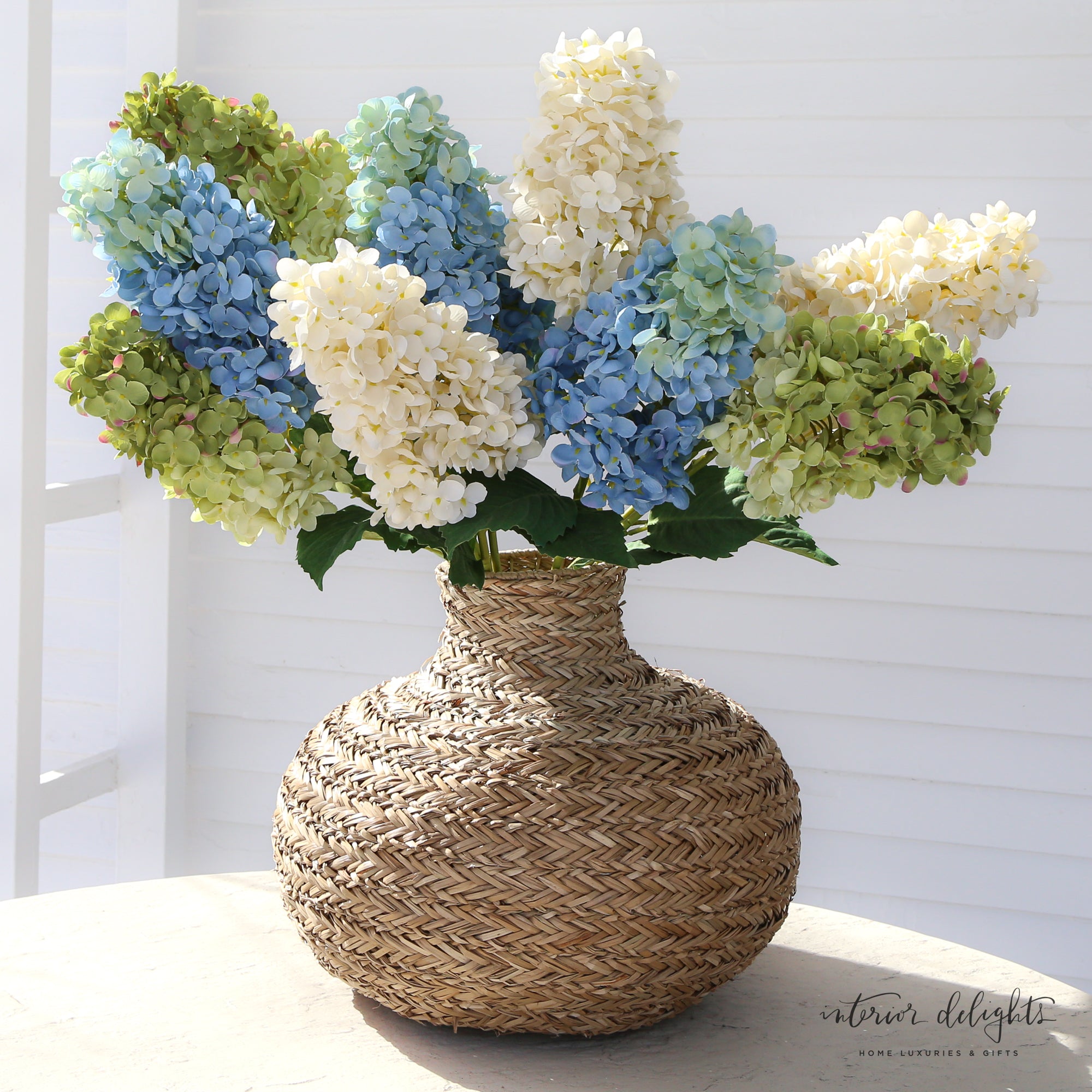 Summit Hydrangea- 3 Colors