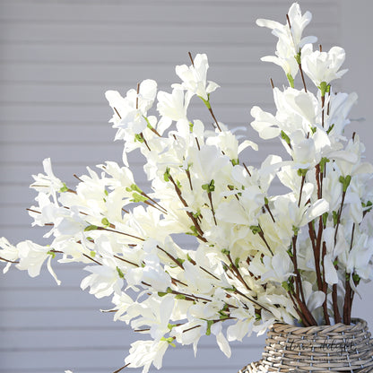 White Forsythia Bush-20in