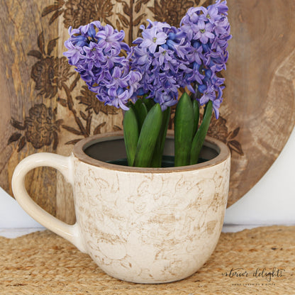 Beige Heirloom Tea Cup Planter- Choice of 2 Colors