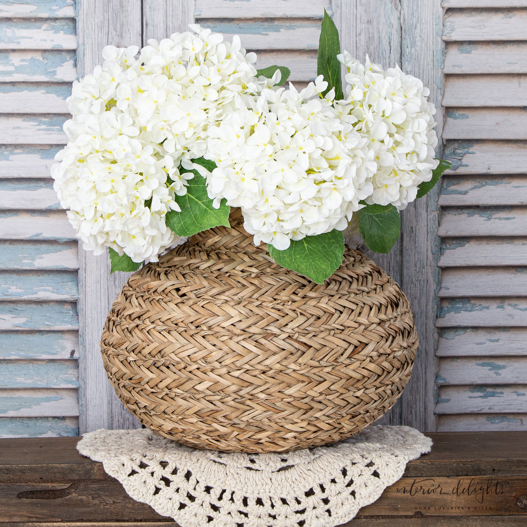 New England Hydrangea- White