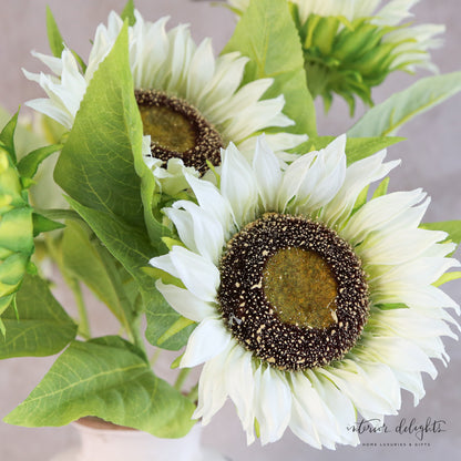 Cream Sunflower Stem