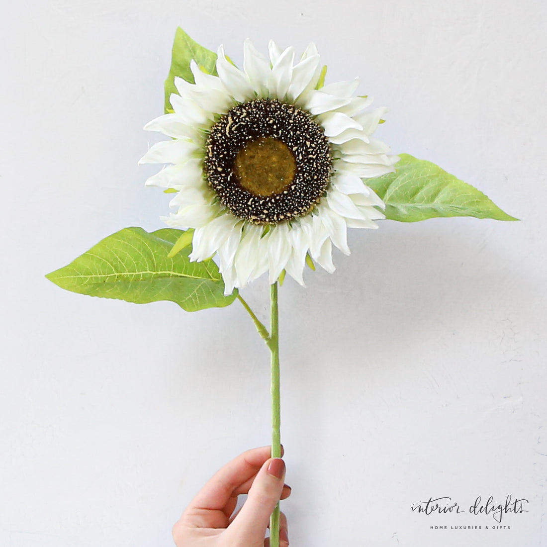 Cream Sunflower Stem