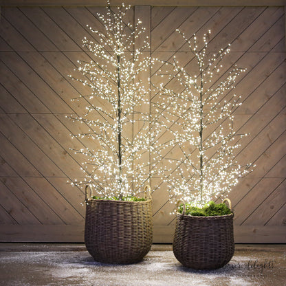 Round Willow Planters - Set of 3