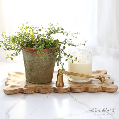 Mango Wood Tray with Scalloped Edge