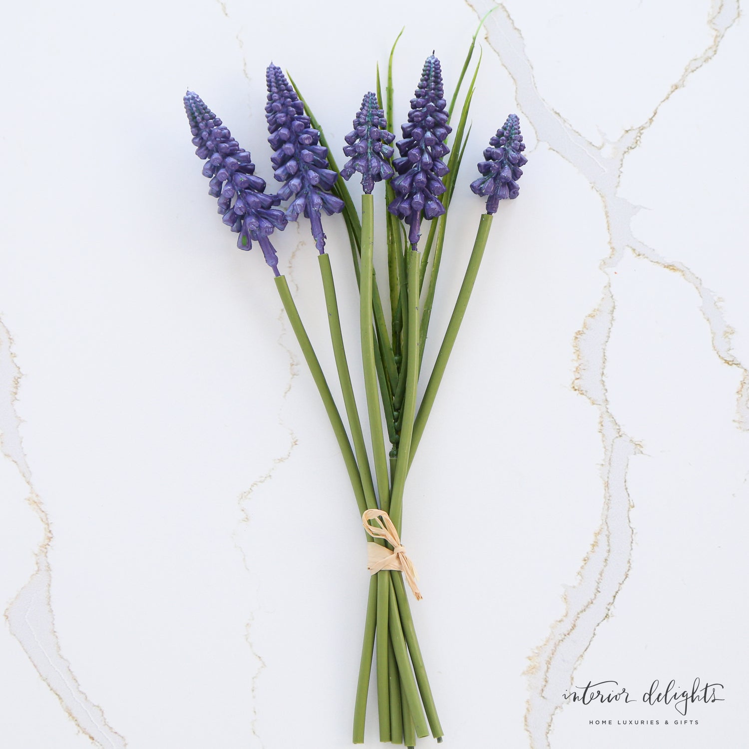 Purple Hyacinth Bundle