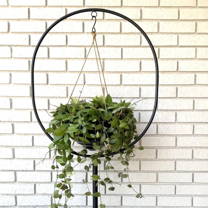 Circle Top Hanging Planter and Stand