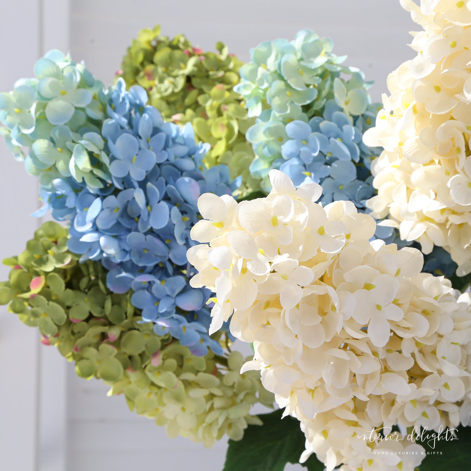 Summit Hydrangea- 3 Colors