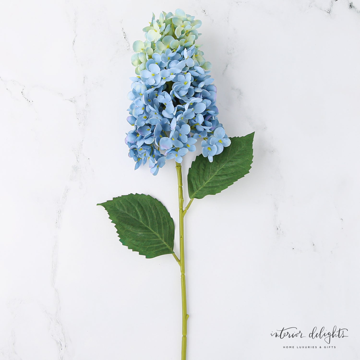 Summit Hydrangea- 3 Colors