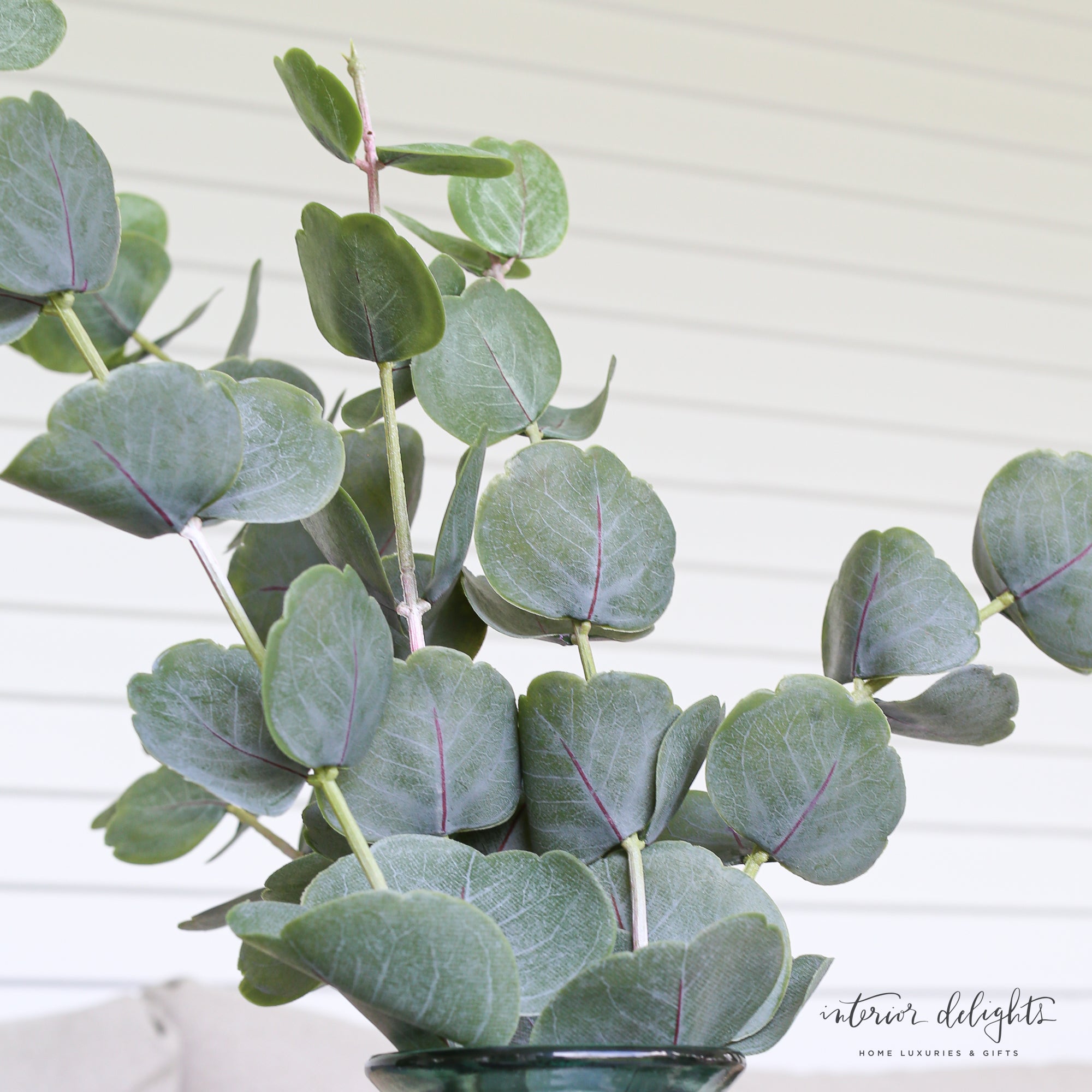 Cotinus Leaf Spray