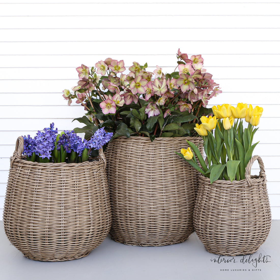 Round Willow Planters - Set of 3