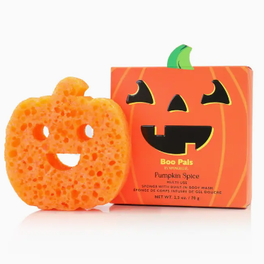 Pumpkin Spice Sudsy Spongelle Sponge