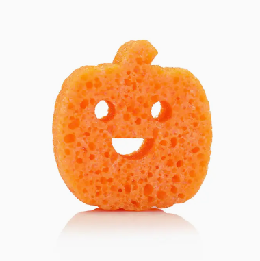 Pumpkin Spice Sudsy Spongelle Sponge