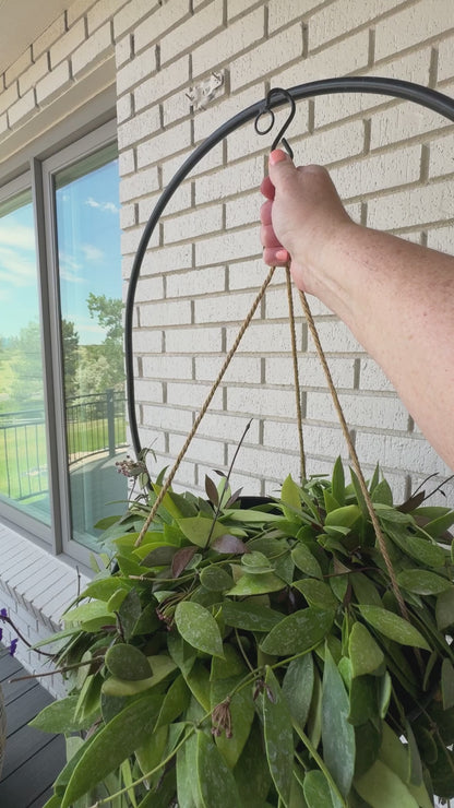 Circle Top Hanging Planter and Stand