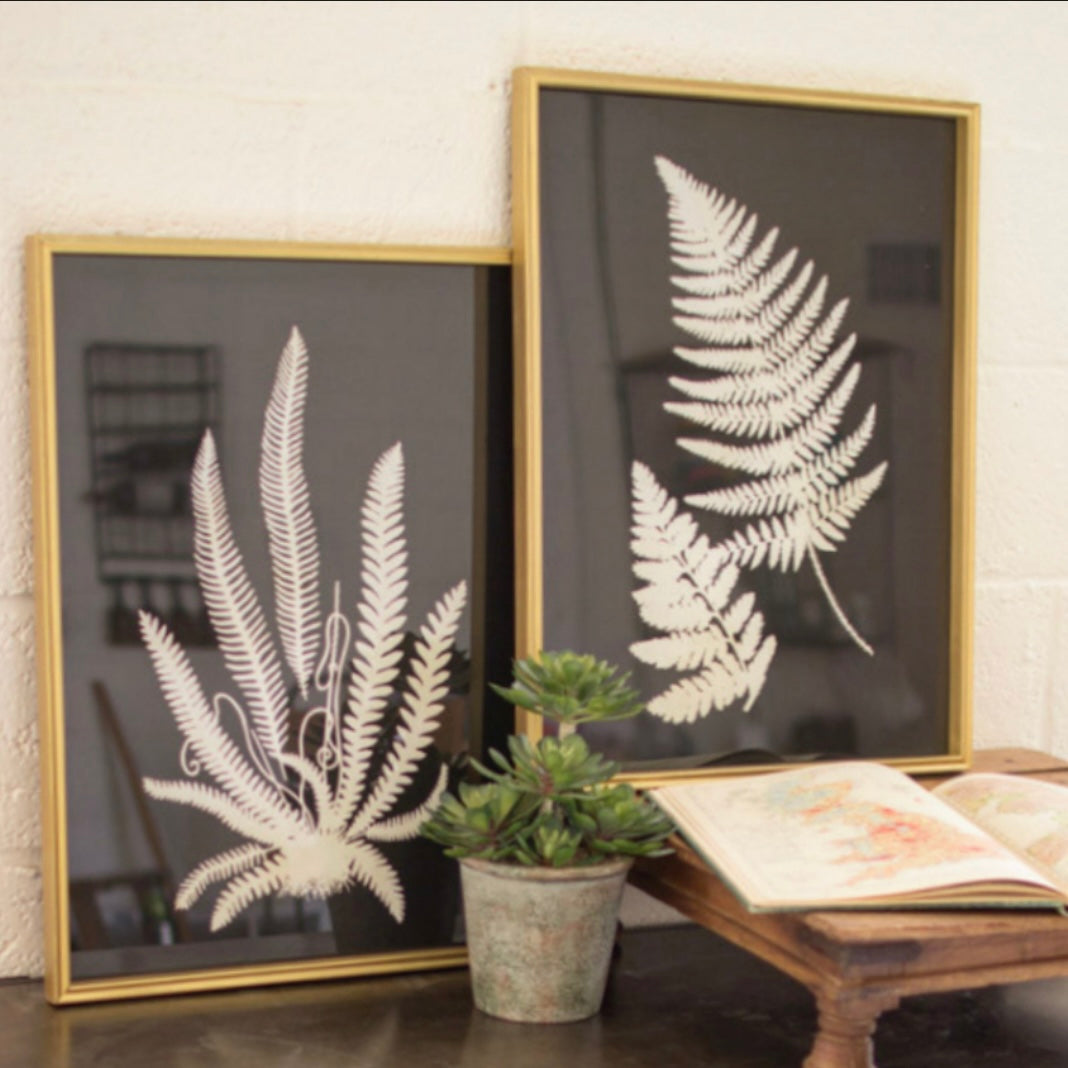 Set of 2 black and white fern prints under glass - Interior Delights