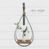 Teardrop Hanging Bottle Holder - Interior Delights